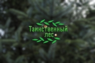 "Таинственный Лес" - 7й этап кубка "Золотой Маршрут"